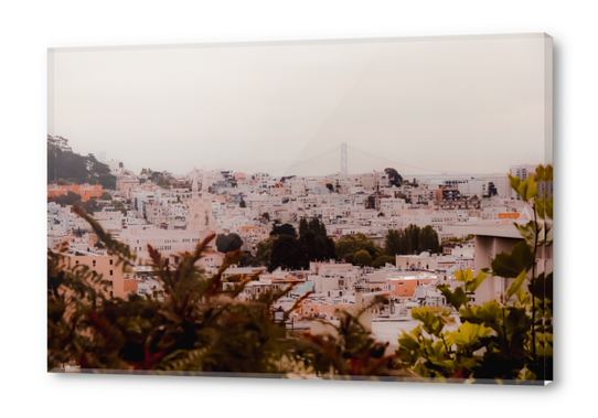 Buildings in the city at San Francisco California USA Acrylic prints by Timmy333