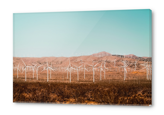 Wind turbine farm with blue sky in the desert at Kern County California USA Acrylic prints by Timmy333