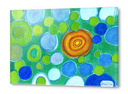 Stones under Water Acrylic prints by Heidi Capitaine