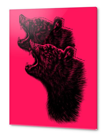 2BEAR Acrylic prints by barmalisiRTB