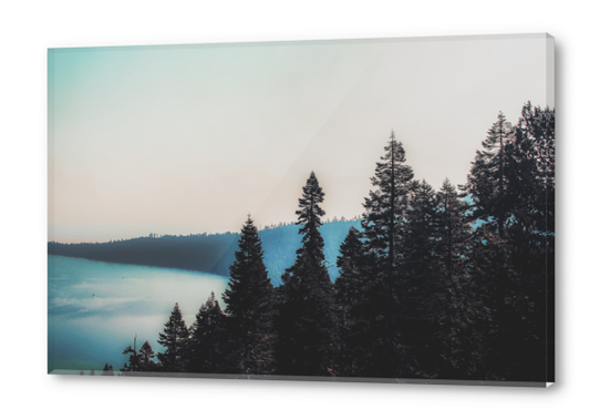 pine tree and lake at Emerald Bay Lake Tahoe California USA Acrylic prints by Timmy333