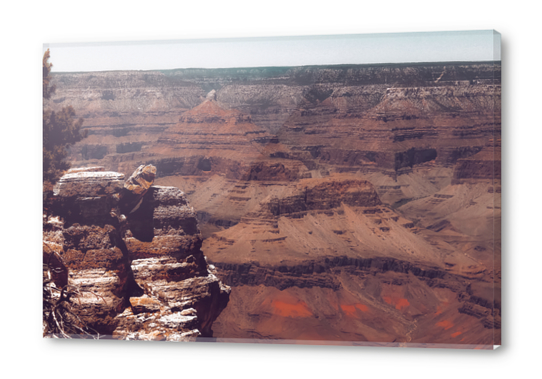 mountains desert scenery at Grand Canyon national park USA Acrylic prints by Timmy333