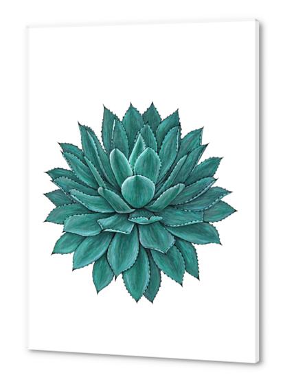 Agave Acrylic prints by Nika_Akin