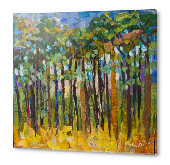 Pine Forrest Acrylic prints by Elizabeth St. Hilaire