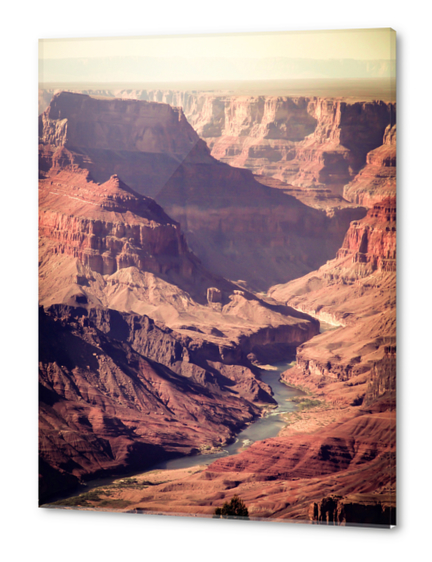 desert at Grand Canyon national park, USA Acrylic prints by Timmy333