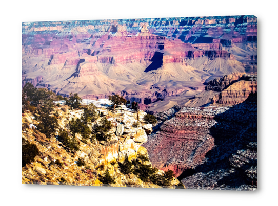 Desert view at Grand Canyon national park, USA Acrylic prints by Timmy333