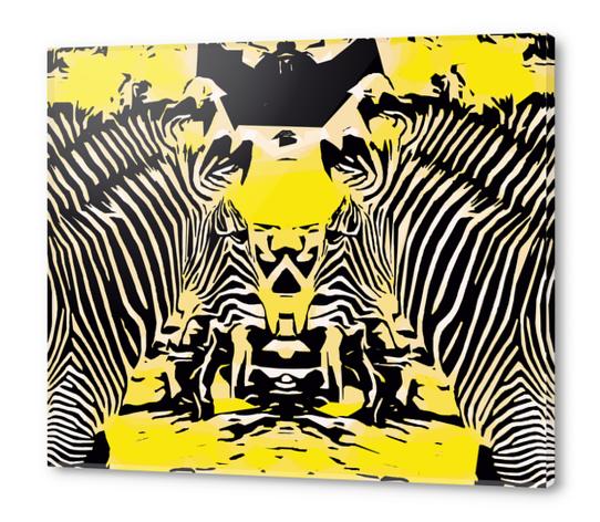 drawing and painting zebras with yellow and black background Acrylic prints by Timmy333