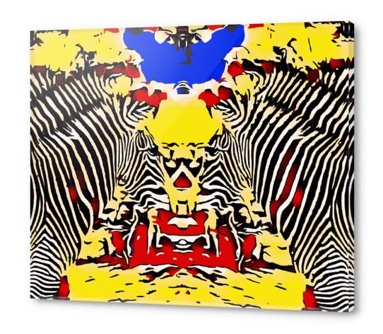 drawing and painting zebras with red yellow and blue background Acrylic prints by Timmy333