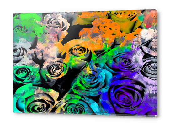 rose texture pattern abstract with splash painting in orange green blue purple Acrylic prints by Timmy333