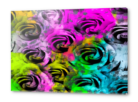 closeup rose texture pattern abstract background in pink yellow blue green Acrylic prints by Timmy333