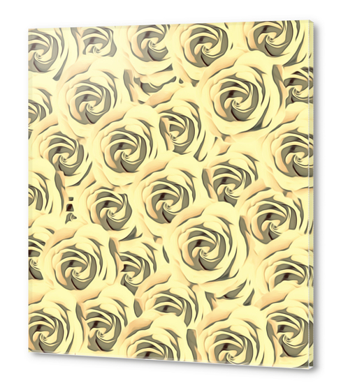 blooming yellow rose pattern texture abstract background Acrylic prints by Timmy333