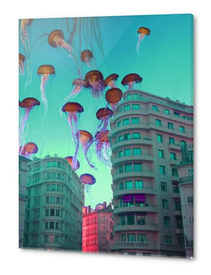 Ciel des Jacobins Acrylic prints by Ivailo K