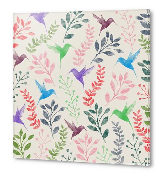 Floral and Birds Acrylic prints by Amir Faysal