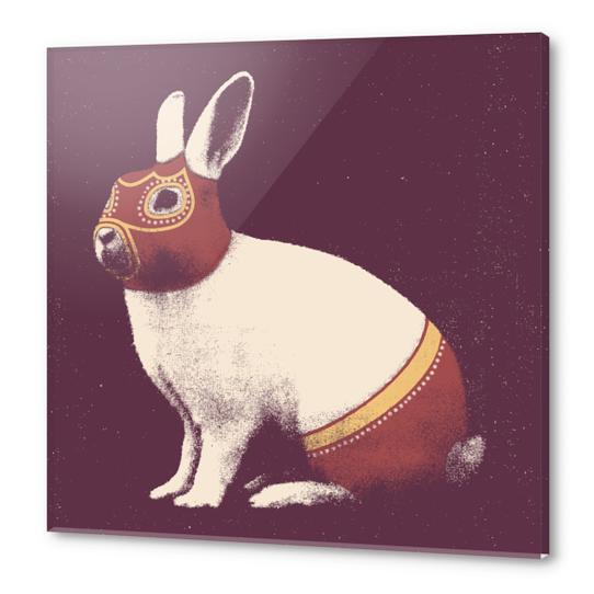 Lapin Catcheur (Rabbit Wrestler) Acrylic prints by Florent Bodart - Speakerine