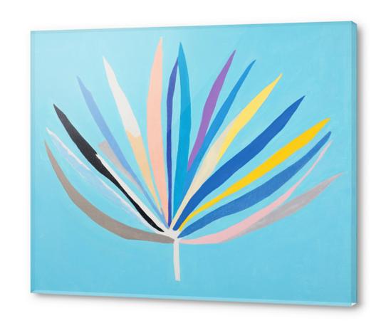 Palm leaf Acrylic prints by Sana Kulic