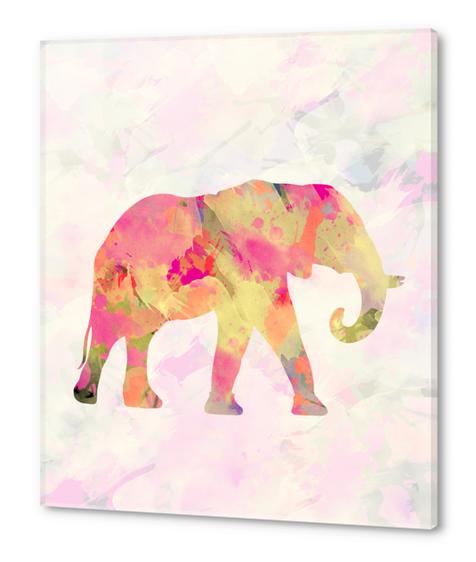 Abstract Elephant Acrylic prints by Amir Faysal