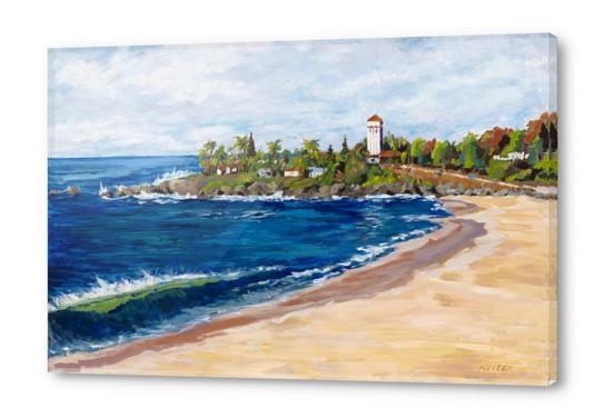 Waimea Bay Acrylic prints by DanKeizer