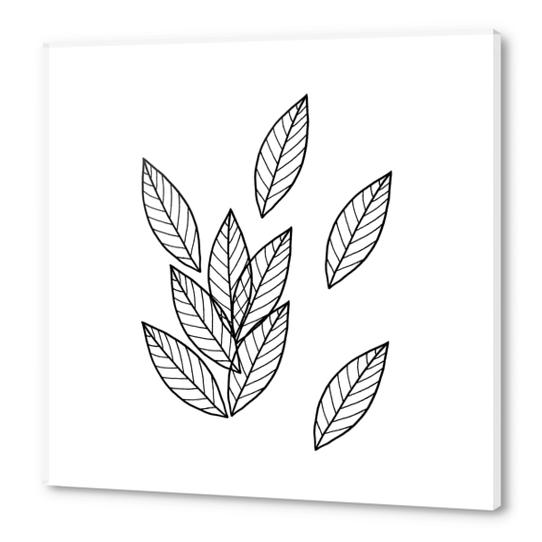 Leaves Acrylic prints by Nika_Akin