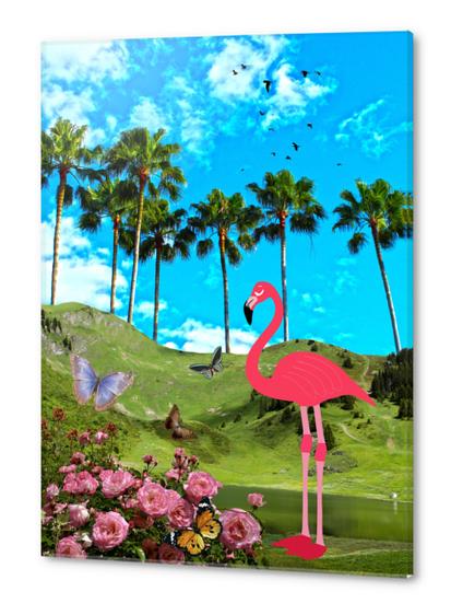 OASIS Acrylic prints by GloriaSanchez