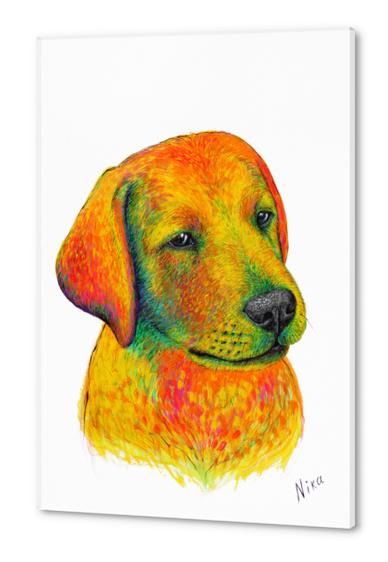 Dog Acrylic prints by Nika_Akin