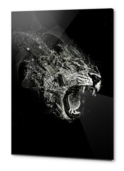 Fierce Acrylic prints by TenTimesKarma