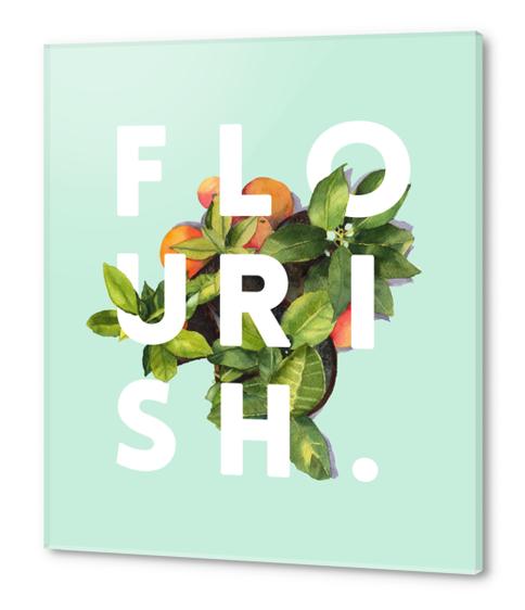 Flourish Acrylic prints by Uma Gokhale