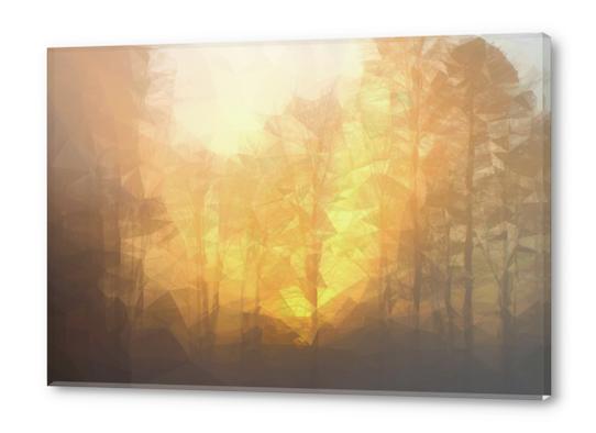 Forest in the sunrise Acrylic prints by Vic Storia