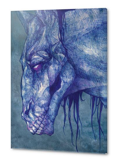 Kelpie Acrylic prints by Alice Holleman