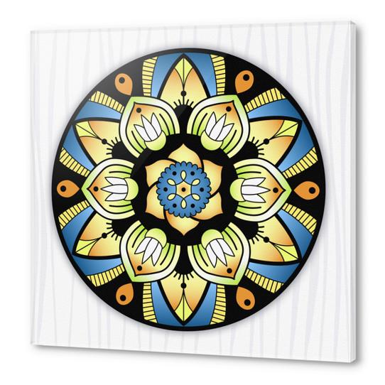 Mandala Opening Acrylic prints by Divotomezove