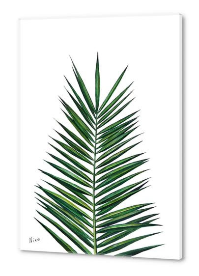 Palm Leaf Acrylic prints by Nika_Akin