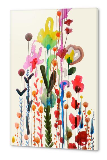 Viva Acrylic prints by Sylvie Demers