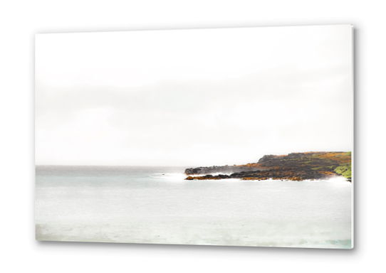 foggy and calm beach view at Kauai, Hawaii, USA Metal prints by Timmy333