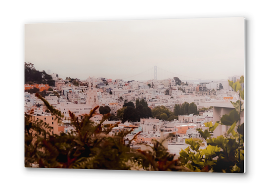 Buildings in the city at San Francisco California USA Metal prints by Timmy333