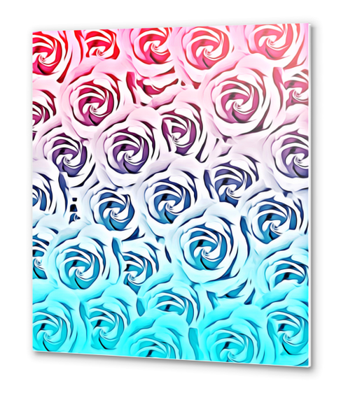 blooming rose pattern texture abstract background in pink and blue Metal prints by Timmy333