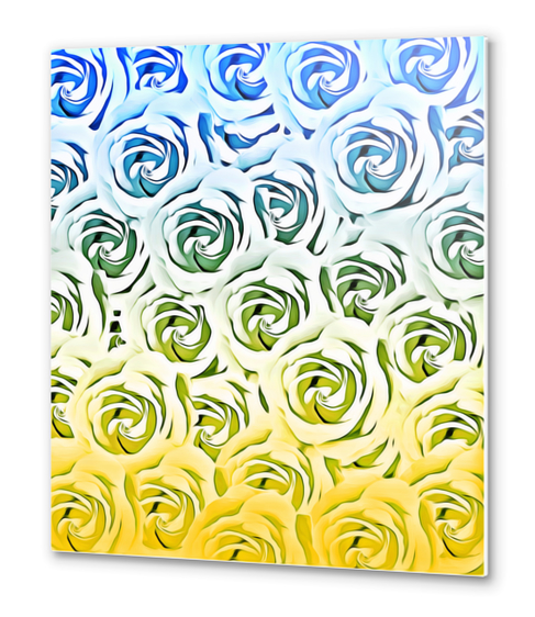 rose pattern texture abstract background in blue and yellow Metal prints by Timmy333