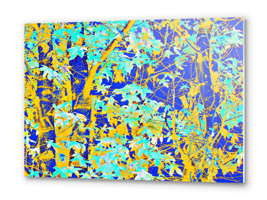 green maple tree leaf with blue and yellow abstract background Metal prints by Timmy333