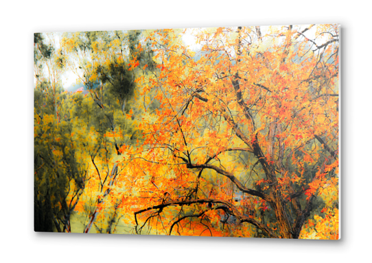 tree branch with autumn leaves and green tree background Metal prints by Timmy333