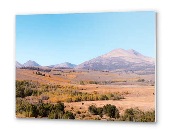 autumn tree with mountain view in California USA Metal prints by Timmy333