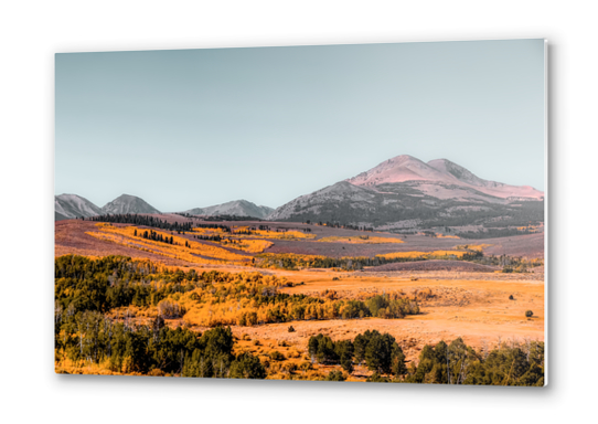 autumn tree with mountains and blue sky background in California USA Metal prints by Timmy333