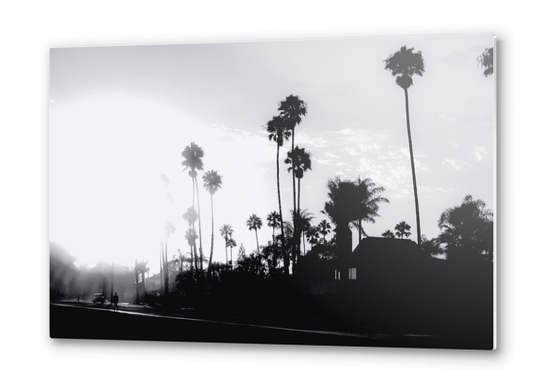 palm tree with sunset sky in California in black and white Metal prints by Timmy333