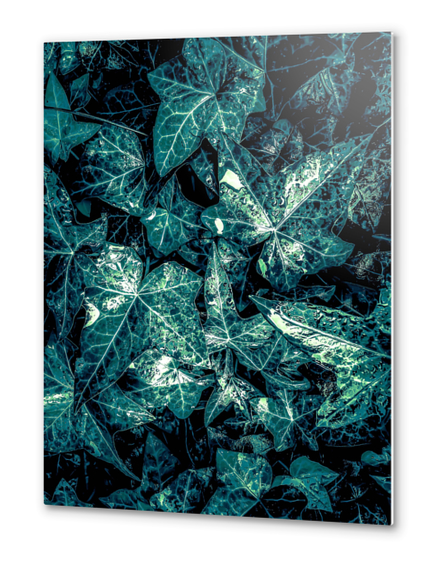 closeup green leaves texture background Metal prints by Timmy333