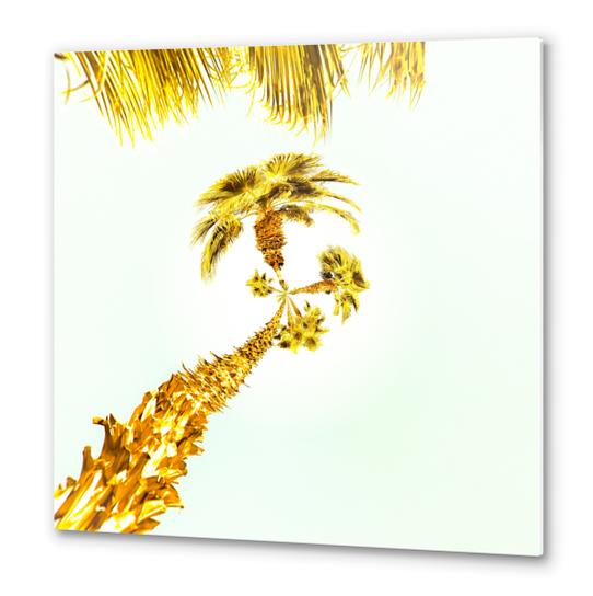 palm trees with the summer sky background Metal prints by Timmy333