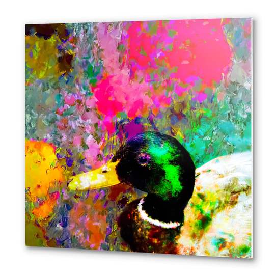 mallard duck with pink green brown purple yellow painting abstract background Metal prints by Timmy333