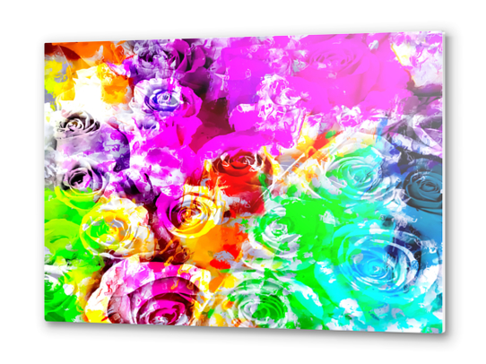 closeup rose texture pattern abstract background in pink blue yellow green red Metal prints by Timmy333