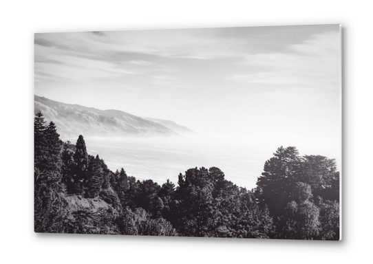 Beautiful ocean view with forest front view at Big Sur, California, USA in black and white Metal prints by Timmy333