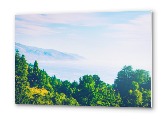 Beautiful ocean view with forest front view at Big Sur, California, USA Metal prints by Timmy333