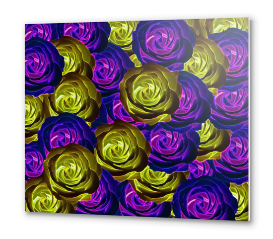 blooming rose texture pattern abstract background in pink purple yellow Metal prints by Timmy333