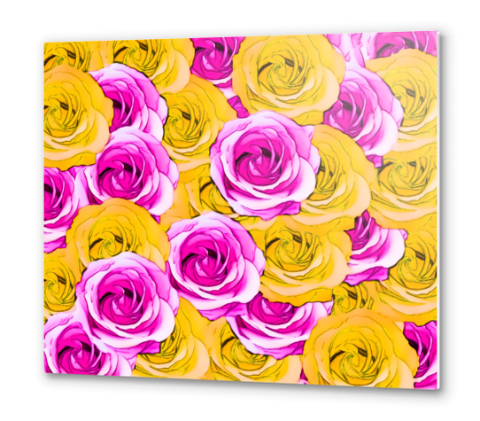 pink rose and yellow rose pattern abstract background Metal prints by Timmy333