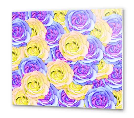 blooming rose texture pattern abstract background in yellow and pink Metal prints by Timmy333