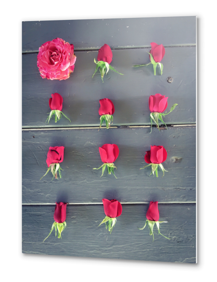 red roses and pink rose on the table Metal prints by Timmy333